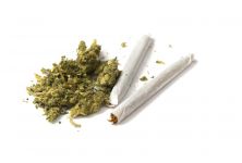 Marihuana – první krok k závislosti?