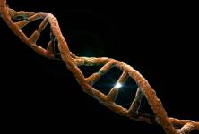 Objev a výzkum DNA – forenzní genetika