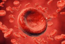 Hemoglobin – krevní barvivo