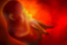 Amniocentéza - jak a proč se provádí