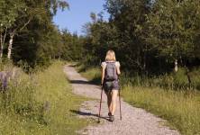 Severská chůze – nordic walking