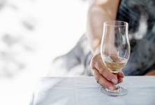 Druhy vín a jeho účinky na naše zdraví