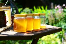 Co nevíte o medu - přírodní sladidlo i lék