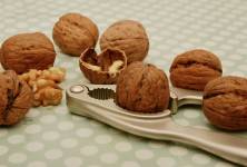 Ořechy a jejich pozitiva