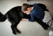 Canisterapie: Proč léčebný kontakt se psem pomáhá dětem i nemocným? 