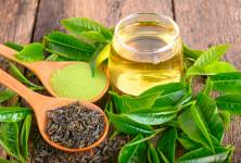 Bílé a zelené čaje – pro zdraví, požitek i proti jarní únavě 