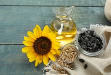 Slunečnicová semínka: Jaké výhody tělu přinášejí a proč si zaslouží místo ve vašem jídelníčku