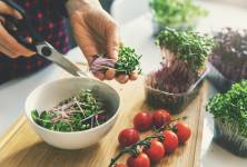 Užijte si jaro na talíři v plné síle a kráse: V přírodě najdete divoké bylinky, doma zkuste microgreens!