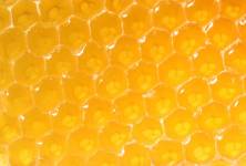 Čím nám pomáhá med?