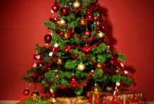 Vánoční stromečky - zdobení a bezpečnost