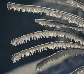 Kryoterapie - vyzkoušejte osvěžení a ozdravení organismu silou extrémního mrazu!