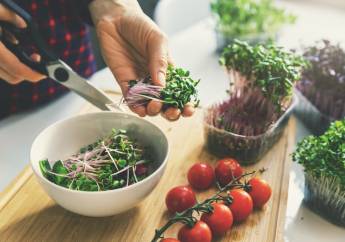 Užijte si jaro na talíři v plné síle a kráse: V přírodě najdete divoké bylinky, doma zkuste microgreens!