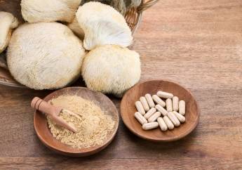 Hericium neboli Lion´s mane: Houba nejen pro bystrou mysl