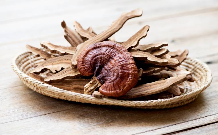 Medicinální houba Reishi: S čím vším pomůže, pro koho je vhodná a pro koho nikoliv